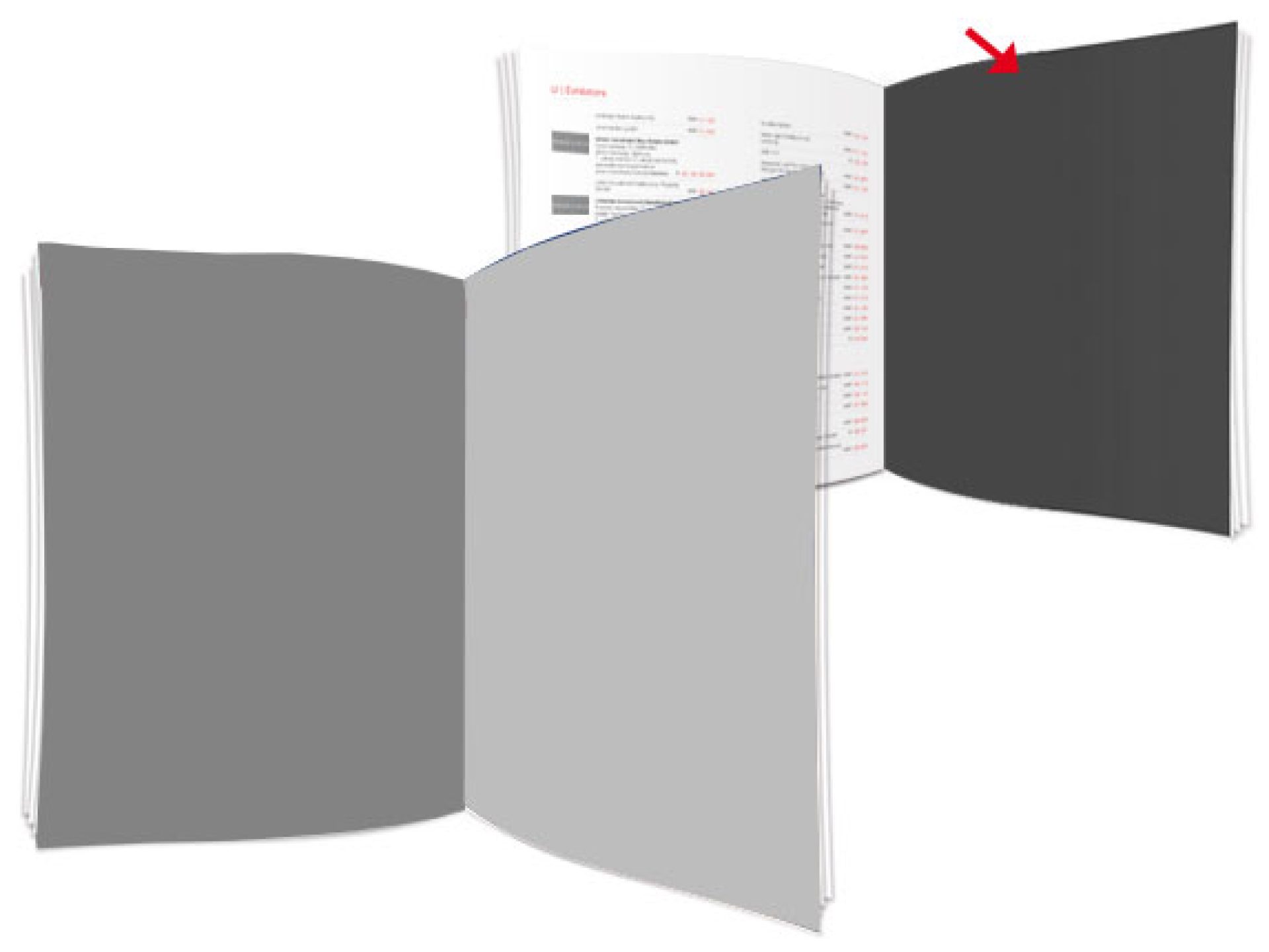Lorem ipsum