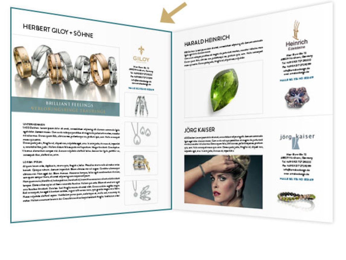 1/1 Seite Präsentation im Show Guide