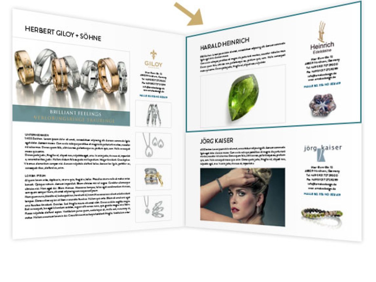 1/2 Seite Präsentation im Show Guide