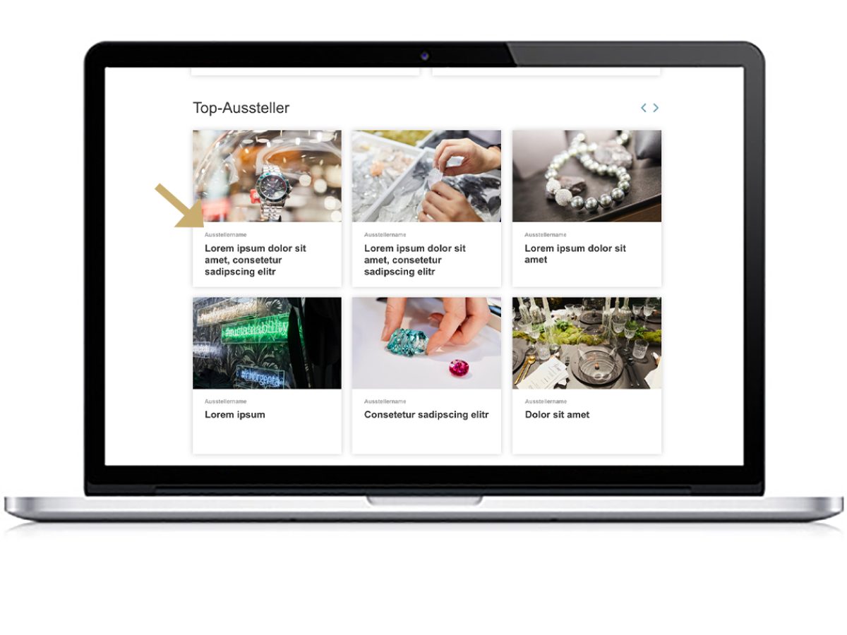 Standard teaser (home page)