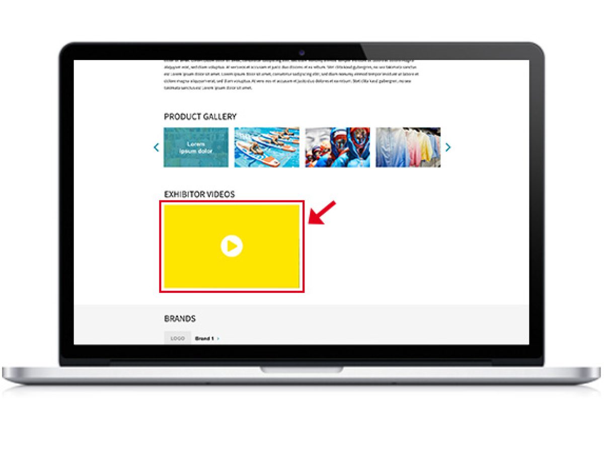 Embedded video